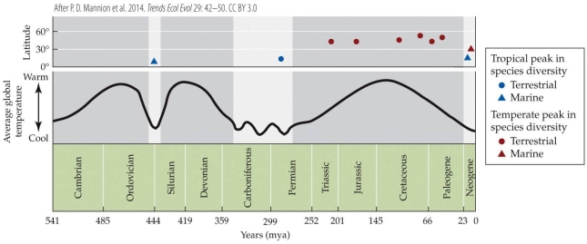 <strong>Refer to the figure.   Which of the following statements is most clearly supported by the data in the figure?</strong> A) The current latitudinal gradient in species richness is likely due to much higher speciation rates in the tropics than in temperate regions over millions of years. B) The current latitudinal gradient in species richness is likely due to greater environmental stability in the tropics across hundreds of millions of years. C) The current latitudinal gradient in species richness could invert if average global temperature decreased substantially. D) The current latitudinal gradient in species richness could invert if average global temperature increased substantially. <div style=padding-top: 35px> 