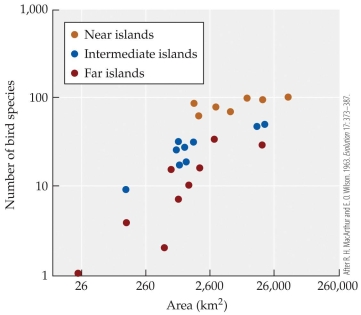 <strong>Refer to the figure.    - The figure shows bird species richness for islands of different sizes that are close to New Guinea, far from New Guinea, or intermediate in distance from New Guinea. Based on this figure, which of the following statements is false?</strong> A) Islands closer to New Guinea tend to have more bird species than islands that are farther away. B) Larger islands tend to have more species of birds, independent of distance from New Guinea. C) For a given island size, near islands tend to have more bird species than far islands. D) Islands that are large but far from New Guinea are likely to have the most bird species. <div style=padding-top: 35px> 