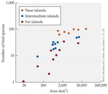 <strong>Refer to the figure.    -The figure shows bird species richness for islands of different sizes that are close to New Guinea, far from New Guinea, or intermediate in distance from New Guinea. Based on the figure, an island of around 2,600 km<sup>2</sup> in area that is far from New Guinea has approximately how many bird species?</strong> A) 40 B) 60 C) 80 D) 100 <div style=padding-top: 35px> 