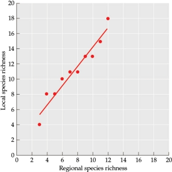 Refer to the figure. Figure 2   You are investigating patterns of species richness on two different continents (Continent 1 and Continent 2) to determine how species richness patterns differ between them. For multiple study sites on each of the two continents, you sample the local species richness and compare it to the species richness of the broader region to which each site belongs. Examine the data in Figure 2 closely. Would you ever expect to observe this relationship between regional and local species richness in nature? Why or why not?<div style=padding-top: 35px> 