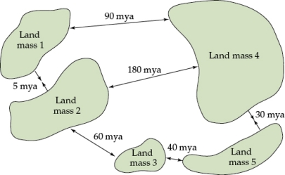 Refer to the figure. Figure 3   Figure 3 shows long-term patterns of continental movement for five large land masses, illustrating the location of the land masses during an active period of land mass movement, at about 40 mya. The arrows indicate the direction of land mass movement and the numbers indicate the approximate timing (mya) of these events. Based on Figure 3, describe the mostly likely path of land mass 5 through time by answering the following questions: a) Which land masses was land mass 5 most likely joined with 150 mya? b) Which other land masses was land mass 5 joined with 50 mya? c) Which other land mass(es) was land mass 5 joined with 30 mya?<div style=padding-top: 35px> 