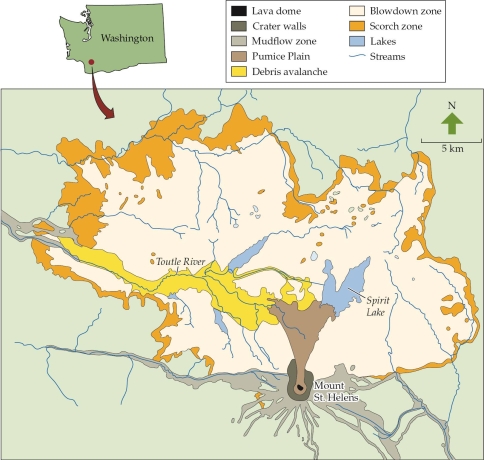 <strong>Refer to the figure. On Mount St. Helens, the intensity of disturbance ranged from extremely high (lava dome, pumice plain) to moderate (mudflow zone, blowdown zone), to low (scorch zone). -In which area is the abiotic stress of low nitrogen availability most likely to control succession?</strong> A) Pumice Plain B) Mudflow zone C) Blowdown zone D) Scorch zone