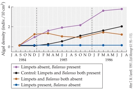 <strong>Refer to the figure. In Farrell's (1991) work on algal succession, the presence of limpets had what effect on the growth of algae?</strong> A) Limpets facilitate algal succession. B) Limpets tolerate algal succession. C) Limpets inhibit algal succession. D) The role of limpets depends on the presence or absence of Balanus.