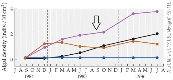 <strong>Refer to the figure. The figure is derived from studies of algal succession in the presence and absence of the barnacle Balanus and limpets. Which condition is represented by the purple line (indicated by the black arrow)?</strong> A) The presence of both limpets and Balanus B) The presence of limpets and the absence of Balanus C) The presence of Balanus and the absence of limpets D) The absence of both limpets and Balanus