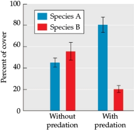 <strong>Refer to the figure. Suppose you are studying succession patterns in two species, species A and species B, both small aquatic organisms that colonize bare surfaces underwater. You replicated Sutherland's experiments in this new system by placing bare tiles underwater in predator-protected areas and areas with predators. You collect data on the percent of cover for each species, as shown in the figure. - Based on the data, what would you expect that a newly colonized area in a natural pond would look like?</strong> A) Species A would dominate species B, although species B would still occupy some space. B) Species A and B would coexist at about equal proportions. C) Species B would dominate species A, although species A would still occupy some space. D) The predators in the natural ponds would cause both species A and species B populations to decrease significantly.