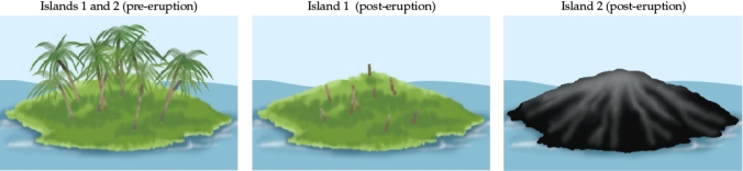 Refer to the figures. Figure 1 Figure 3 You are studying two islands (Figure 3) that have recently experienced volcanic activity. Both were formerly forested with palm trees. On island 1, a heat wave resulting from the volcanic eruption leads to the destruction of all the above-ground vegetation (middle figure). On island 2, a lava flow resulting from the volcanic eruption (right figure) completely covers the island.Answer the following questions: a) How have the resources, environmental conditions, and species communities likely changed on the two islands as a result of the volcanic eruption? b) Assume that the frequency of eruptions on the islands follows the pattern shown in Figure 1. Using data from Figures 1 and 3, create a graph (this will be referred to as Figure 4) using the frequency of eruptions to show where island 1 and island 2 would be located on the spectrum of disturbance. The x-axis should be frequency and the y-axis should be intensity. c) Based on the frequency and intensity of the eruptions you plotted in Figure 4, what type of successional response would you predict for each island?