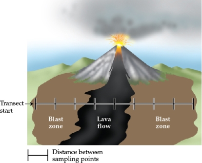 Refer to the figures. Figure 5 Figure 6 Figure 7 You are studying the impacts of a volcanic eruption that produces a lava flow that covers part of a grassland (Figure 5). You begin taking samples as soon as the area is safe to work in-about one year after the main eruption has ended. You set up a transect (beginning at Transect start in Figure 5), and then collect data on how several abiotic and biotic factors vary across it (Figures 6 and 7). -Answer the following questions: a) According to the data in Figure 6, what was the effect of the eruption on the percent of organic material in the soil along the transect? b) Based on Figure 5, predict how the eruption would have changed the amount of UV reaching ground level along the transect. Graph your prediction (this will be referred to as Figure 8). c) Based on the available resources, what type of succession would you expect along the transect? In both the blast zone and lava flow areas, how extreme are the conditions faced by the colonizer species? How would you expect the extent of extreme conditions to limit the species that could potentially colonize the areas?