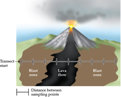 Refer to the figures. Figure 5 Figure 6 Figure 7 You are studying the impacts of a volcanic eruption that produces a lava flow that covers part of a grassland (Figure 5). You begin taking samples as soon as the area is safe to work in-about one year after the main eruption has ended. You set up a transect (beginning at Transect start in Figure 5), and then collect data on how several abiotic and biotic factors vary across it (Figures 6 and 7). -As part of your long-term research, you look into the succession patterns along the transect. Would a space for time substitution allow you to predict succession patterns in the lava flow area based on succession you observe in the blast zone? Why or why not? How is this situation similar or different from other situations that use space for time substitutions?