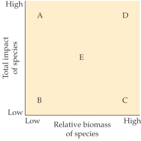 <strong>Refer to the figure. - Where would a keystone species most likely be located in the figure?</strong> A) Position A B) Position B C) Position D D) Position E