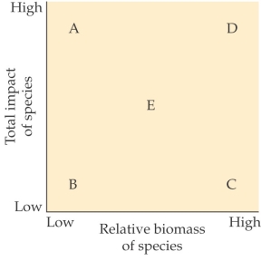 <strong>Refer to the figure. - Where would a foundation species most likely be located in the figure?</strong> A) Position A B) Position B C) Position C D) Position D