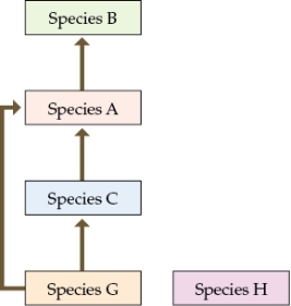 Refer to the table and the figure. Table 10 Figure 5 Food web in year 12 Suppose you are researching an ecological community in a new study area. You divide your study area into quadrats and sample one quadrat a day to determine the species that occupy the area and how many individuals of these species are present. Assume that by the end of your sampling efforts, you have identified all of the species that occur in the study area. You collect additional information on how biomass is transferred through your study system by determining the dietary components of each species during year 12 of your study. Table 10 shows the numbers of individuals that each other individual consumed during year 12. To read the data table, start at a species in column 1, read to the right across that row to find the number of individuals consumed, then read up to determine the species that it consumed. For example, species A consumed 0 individuals of species B (data cell outlined in bold). Refer to the data in Table 10 to understand the structure of the food web in the community in year 12.Answer the following questions: a) What role does species H play in the community in Year 12? b) Based on Figure 5, how should the loss of species G impact community structure in year 15? Does this differ from the original observed data? What do you think caused the difference in the observed species composition for year 15, and what would you have predicted based on the food web data? If you collected data on the food web in year 15, what differences would you expect from the structure of the food web at year 12? What additional information would be needed to construct a complete food web at year 15?