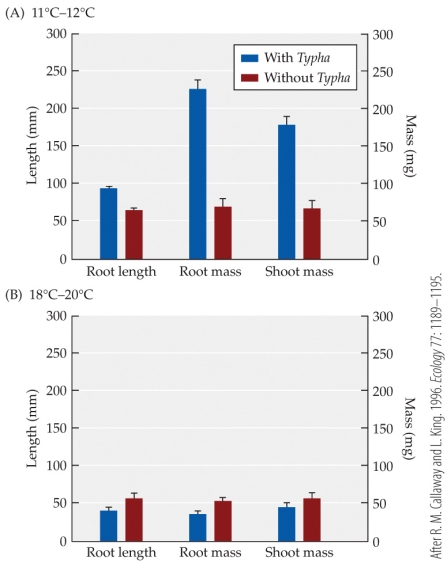 <strong>Refer to the figure. The figure shows the influence of soil temperature on the interaction between two wetland plants, forget-me-nots and cattails. Cattails have extensive air channels for transporting oxygen in their leaves, stems, and roots. Forget-me-nots lack air channels. Based on the figure, as soil temperature increased, the influence of cattails on the growth of forget-me-nots changed from</strong> A) neutral to negative (no effect to competition). B) positive to negative (facilitation to competition). C) negative to positive (competition to facilitation). D) positive to neutral (facilitation to no effect).