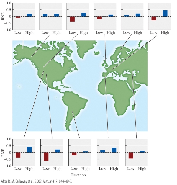 <strong>Refer to the figure. The RNE (relative neighbor effect) measures growth of a target plant species in the presence and absence of neighboring species. The figure shows graphs of the RNE at eleven sites around the world. RNE was measured at high and at low elevations at each site. RNE values above zero (blue) indicate that neighboring plants increased the growth of target species; RNE values below zero (red) indicate that neighbors decreased target species growth. -What type of ecological interaction did plants show at high elevations and at low elevations, respectively?</strong> A) High: mutualists; low: mutualists B) High: mutualists; low: parasites C) High: mutualists; low: competitors D) High: competitors; low: mutualists