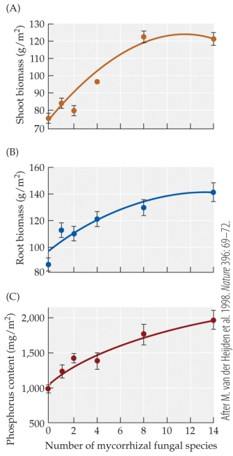 <strong>Refer to the figure. In the study illustrated in the figure, van der Heijden and colleagues compared the effects of differing numbers of mycorrhizal species (0?-14) on the same 15 plant species. They measured the effects of this mycorrhizal species diversity on net primary production (measured as shoot and root biomass) and on cycling of nutrients (measured as phosphorus content). Based on the figure, what can be concluded about the effect of mycorrhizal diversity on plant ecosystems?</strong> A) All three factors decrease, indicating that mycorrhizal diversity inhibits plant growth. B) All three factors increase, indicating that mycorrhizal diversity improves plant growth. C) There appears to be little change in any of the three factors; thus, mycorrhizal diversity has little effect on plant growth. D) Shoot biomass and phosphorus content increase, but root biomass shows little change, indicating that the presence of mycorrhizae in soil depresses root growth.