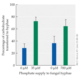 Refer to the figures. The two figures represent the results of studies on a mutualism between the plant Medicago and its partner, a mycorrhizal fungus. The top figure shows the percentage of carbohydrate transferred from the plant to the fungus, depending on the amount of phosphorus the fungus supplies to the plant. The bottom figure shows the amount of fungal phosphorus incorporated by plant roots, depending on the amount of carbohydrate supplied to the fungus. Given the information in these two figures, does the mutualism appear to be under the control of the plant or the fungus, or do both partners exercise some control?