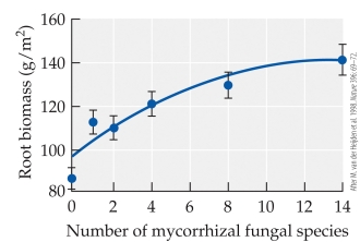 <strong>Refer to the figure. In the study by van der Heijden et al. of mycorrhizal fungi, the root biomass of the target plants (shown in the figure) was found to</strong> A) increase at first and then level off as the number of fungal species was increased. B) increase steadily as the number of fungal species was increased. C) be highest when the fungal species were at an intermediate level. D) be high when there were only a few fungal species present and then decrease as more were added.