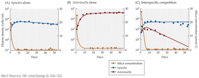 <strong>Refer to the figure. An unknown diatom is collected from a sample of sea water. The researcher is asked to grow the diatom in the laboratory and identify it based on the culture's density and silica level. At day 10, 20, and 30, the diatom density is almost 10<sup>4</sup> and silica levels are almost zero. Which species has the researcher cultured?</strong> A) Synedra B) Asterionella C) Synedra with an unknown D) Neither Synedra nor Asterionella.