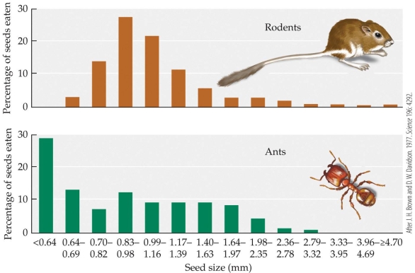 <strong>Refer to the figure. What percent of 0.99-1.16 mm seeds were eaten by rodents?</strong> A) 4% B) 9% C) 22% D) 28%