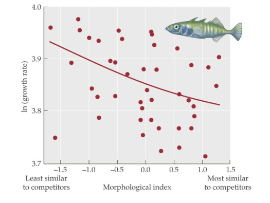 <strong>Refer to the figure. The figure shows the relationship between the growth rates (on a log scale) of individual fish and the similarity of the fish to their competitors. Assuming that populations with faster growth rates are more likely to have greater population growth, which principle or concept does the figure support?</strong> A) Competition is most intense when resources are scarce. B) Competition can result in character displacement. C) Competition is often asymmetrical. D) Competition can determine the local distributions of species.