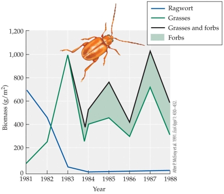 <strong>Refer to the figure. What year(s) did the biomass of grasses reach 1000 g/m<sup>2</sup>?</strong> A) 1983 B) 1983 and 1987 C) 1987 D) 1985 and 1987