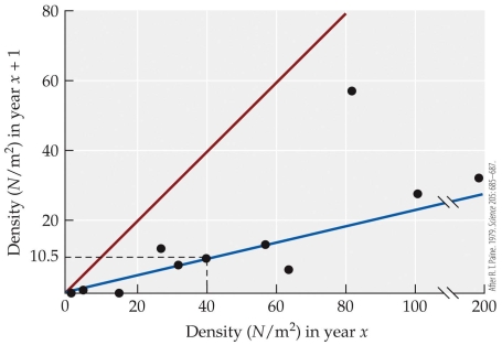 <strong>Refer to the figure. A population of sea palms in year 1 has a density of 80 N/m<sup>2</sup>. The predicted density expected in year 2 is _______ N/m<sup>2 </sup>which is _______ the exact replacement curve.</strong> A) 60; below B) 19; above C) 19; below D) 80; below