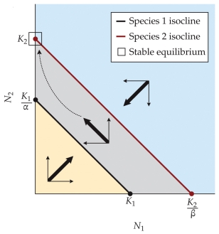 <strong>Refer to the figure. Based on the figure, what is the expected outcome of the competition between species 1 and species 2?</strong> A) Coexistence B) Competitive exclusion of species 2 by species 1 C) Competitive exclusion of species 1 by species 2 D) Persistence of one species only; whichever one persists will depend on the initial conditions