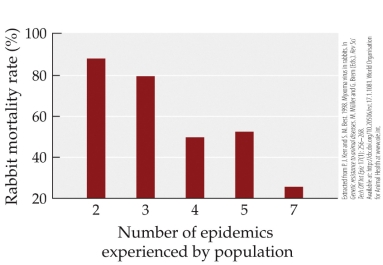 <strong>Refer to the figure.   A population of rabbits has a mortality rate of 40%. The population would be hypothesized to have experienced _______ epidemics.</strong> A) 0 B) 3 C) 5 D) 6 <div style=padding-top: 35px> 