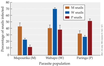 <strong>Refer to the figure.   While sampling lakes in New Zealand for the number of snails infected with the Microphallus parasite, you get lost and aren't sure which lake you're sampling from. After returning to the lab, you identify the snails as Lake Paringa snails and determine the percentage of snails infected to be ~10%. Which lake did you most likely collect the snails from?</strong> A) Lake Mapourika B) Lake Wahapo C) Lake Paringa D) None of the data matches this scenario so it must not have been one of the three lakes. <div style=padding-top: 35px> 