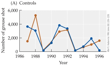 <strong>Refer to the figure.       The figure shows results from a study by Hudson and colleagues on red grouse and their nematode parasite. The figures show the cycling of six red grouse populations subjected to three treatments: (A) two control populations, (B) two populations treated for nematode parasites in 1989, and (C) two populations treated for parasites in 1989 and 1993. Each of the six grouse populations is designated by a different color. These results show that removal of the parasite</strong> A) caused host populations to collapse. B) reduced the fluctuations of the grouse population. C) increased the fluctuations of the grouse population. D) halted population cycles in the red grouse. <div style=padding-top: 35px> 