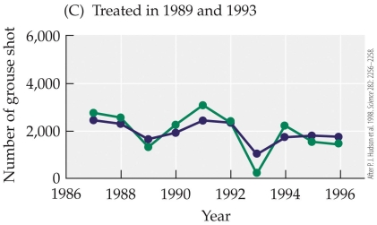 <strong>Refer to the figure.       The figure shows results from a study by Hudson and colleagues on red grouse and their nematode parasite. The figures show the cycling of six red grouse populations subjected to three treatments: (A) two control populations, (B) two populations treated for nematode parasites in 1989, and (C) two populations treated for parasites in 1989 and 1993. Each of the six grouse populations is designated by a different color. These results show that removal of the parasite</strong> A) caused host populations to collapse. B) reduced the fluctuations of the grouse population. C) increased the fluctuations of the grouse population. D) halted population cycles in the red grouse. <div style=padding-top: 35px> 