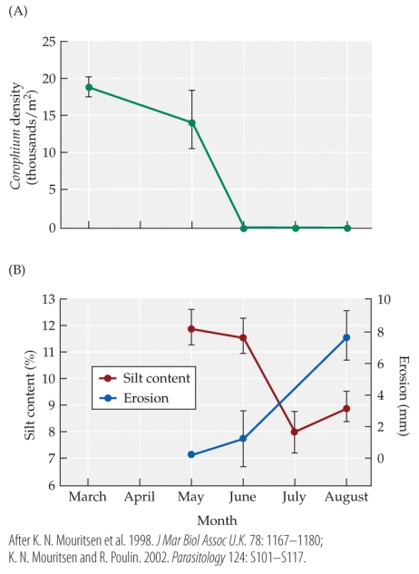 <strong>Refer to the figure.   Which of the following statements is true?</strong> A) With the absence of Corophium volutator in May, the percent of silt content was higher than the amount of erosion. B) With the absence of Corophium volutator in August, the percent of silt content was equal to the amount of erosion. C) With the absence of Corophium volutator, the percent of silt content and the amount of erosion was unaffected. D) With the absence of Corophium volutator, the percent of silt content remained the same while the amount of erosion continuously decreased. <div style=padding-top: 35px> 