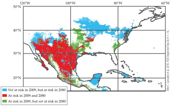 <strong>Refer to the figure.   A person living at 20<sup>o</sup>N, 90<sup>o</sup>W would</strong> A) have the same risk of contracting leishmaniasis in 2009 as 2080. B) have a decreased risk of contracting leishmaniasis in 2080 than in 2009. C) be at risk of contracting leishmaniasis in 2009. D) not be at risk of contracting leishmaniasis in 2009, but would be at risk in 2080. <div style=padding-top: 35px> 