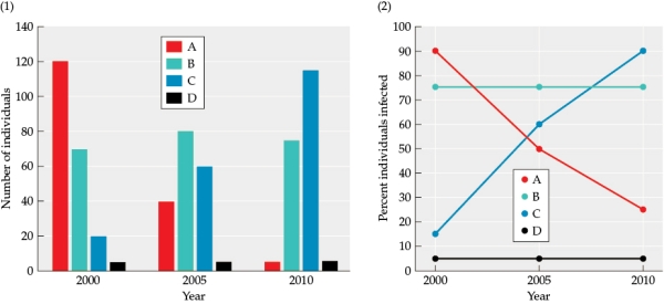 Refer to the figure. Figure 1   The figure shows data collected on a species of fish that lives on a coral reef. The fish were captured and studied three times-in 2000, 2005, and 2010. Four genotypes were found in an area of the coral reef (shown as A, B, C, and D). The figure shows: (1) the number of individuals of each genotype captured during each year, and (2) the percent of individuals infected with parasites captured during each year.  -Answer the following questions: a) Graph the relationship between the numbers of individuals of different genotypes and the percent of infected individuals (this will be referred to as Figure 4). Refer to data on population size and percent of individuals infected by genotype. For simplicity, graph all of the data from all of the years on the same plot as points on a scatter graph. Sketch a line that fits the relationship between population size and percent infected. b) What does this data tell you about the likely relationship between genotype, numbers of individuals, and the percent infected individuals?<div style=padding-top: 35px> 