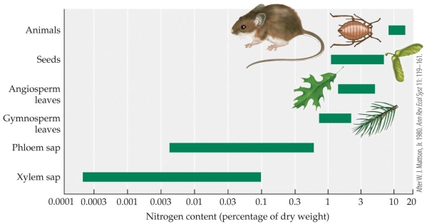 <strong>Refer to the figure. Based on data in the figure, a newly discovered seed could be hypothesized to have a nitrogen content of _______?</strong> A) 0.003 B) 0.03 C) 0.3 D) 3
