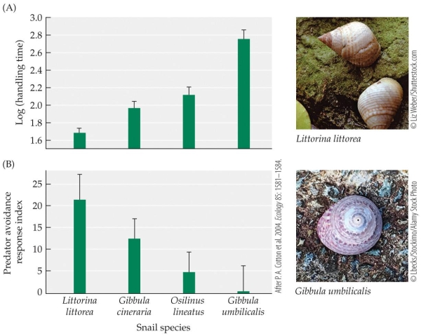 <strong>Refer to the figure. - A new hypothetical species of green crabs is discovered that has a handling time of 2.4. Based on other green crabs' behavior, you hypothesize that the new species predator avoidance response index will be approximately</strong> A) 0. B) 3. C) 10. D) 15.