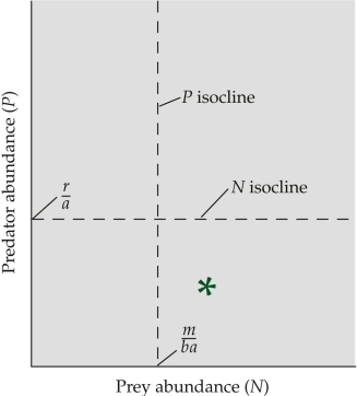<strong>Refer to the figure. The figure shows the interaction between predator abundance and prey abundance. Populations of lynx and hares are located at the star. Based on the Lotka-Volterra predator-prey model, we would expect the number of prey to _______ and the number of predators to _______.</strong> A) increase; increase B) increase; decrease C) decrease; increase D) decrease; stay the same
