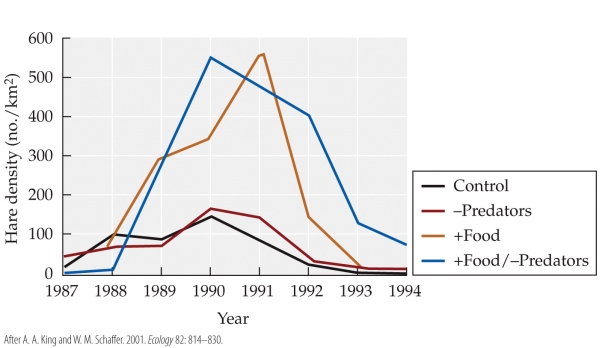<strong>Refer to the figure. What year was the +Food/-Predators hare density 400/km<sup>2</sup><sub> </sub>and decreasing?</strong> A) 1989 B) 1990 C) 1991 D) 1992