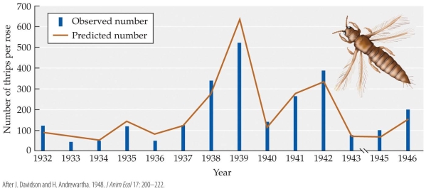 <strong>Refer to the figure.   Based on the figure, which statement about Davidson and Andrewartha's experiment on thrips (Thrips imaginis) is true?</strong> A) Davidson and Andrewartha's model of thrips per rose was exactly the same as the observed numbers. B) The predicted numbers closely resembled the observed numbers. C) The observed numbers of thrips was always lower that the predicted model but showed the same general trends. D) The predicted numbers model accurately reflected the observed numbers some years but in other years the predicted model was very different than the observed numbers of thrips. <div style=padding-top: 35px> 