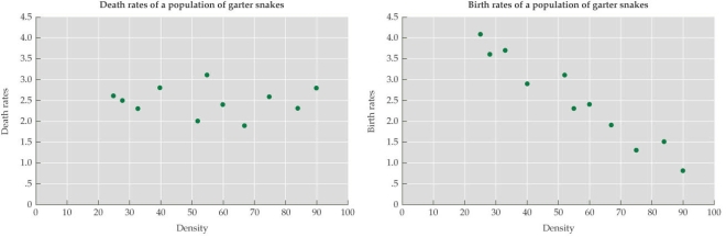 <strong>Refer to the figure.   The birth and death rates of a population of garter snakes were monitored over 11 years, during which time population density varied considerably. According to the figure, which statement about the populations is true?</strong> A) Density-independent factors are regulating population size. B) At high population sizes, the death rate is higher than it is at low population sizes. C) Birth rate declines at high population sizes. D) Birth rates equal death rates. <div style=padding-top: 35px> 