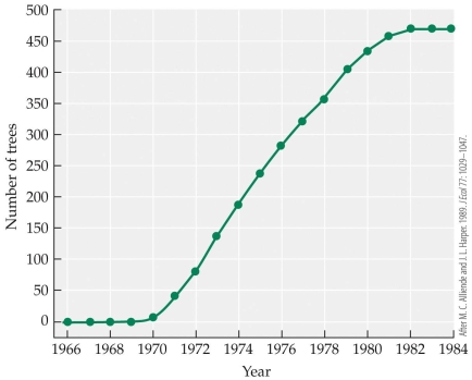 <strong>Refer to the figure.   Based on the figure, how long did it take willows to reach their carrying capacity in Australia?</strong> A) It never reached carrying capacity. B) 12 months C) 1.2 years D) 12 years <div style=padding-top: 35px> 