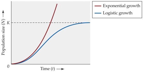 <strong>Refer to the figure.   Use the figure to determine the point at which the population growth rate is maximized under the logistic model.</strong> A) The rate is maximized when N = K/2. B) The rate is maximized when the population is extremely small. C) The rate is maximized when K is reached. D) The rate is maximized when K is surpassed. <div style=padding-top: 35px> 
