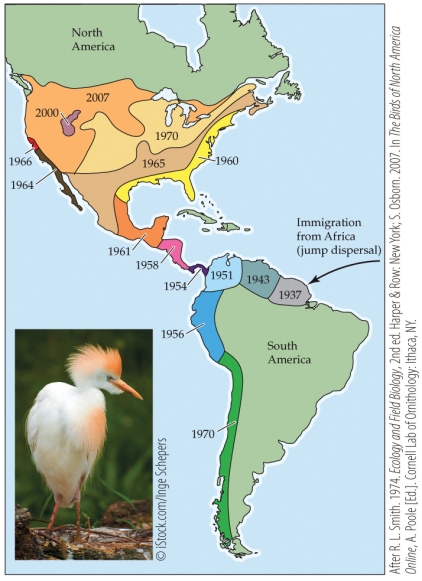 <strong>Refer to the figure. Based on the pattern seen in the figure, you could suggest that _______ growth and _______ population expansion was occurring.</strong> A) exponential; north and west B) exponential; south and east C) logistic; south and east D) logistic; north and east