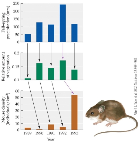 <strong>Refer to the figure. What was the ultimate cause of the increase in mouse density according to this figure?</strong> A) Increased rainfall B) Decreased rainfall C) Increased plant growth D) Decreased plant growth