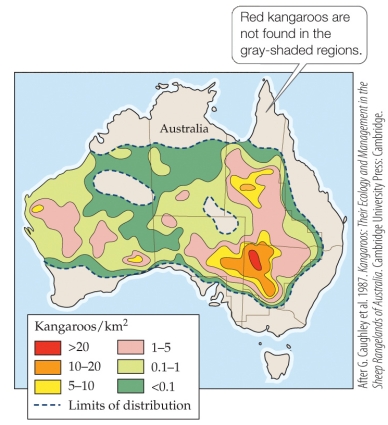 <strong>Refer to the figure. Based on the figure, which statement about the red kangaroo range throughout Australia is true?</strong> A) The highest population of red kangaroo is located along the coastline of Australia. B) Red kangaroos were surveyed along the western coastline of Australia but not the eastern coastline. C) Red kangaroos were regularly distributed throughout central Australia. D) There are three areas of Australia that have red kangaroo populations greater than 5-10 kangaroos/km<sup>2</sup>.