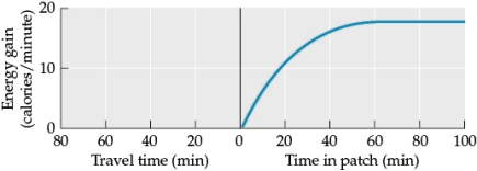 <strong>Refer to the figure. - If travel time increases to 60 minutes, the optimal giving up time</strong> A) increases. B) decreases slightly. C) stays the same. D) decreases significantly.