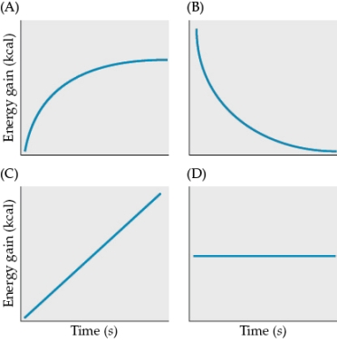 <strong>Refer to the figure. Which figure best depicts the general pattern of the rate of energy gain of an individual in a patch?</strong> A) Figure A B) Figure B C) Figure C D) Figure D