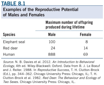 <strong>Refer to the table. If one red deer male and one red deer female both produce the maximum number of possible offspring during their lifetime, the female would produce _______% as many offspring as the male. (Assume that these two individuals did not reproduce with each other.)</strong> A) 14 B) 27 C) 58 D) 72
