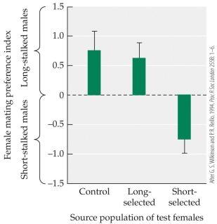 <strong>Refer to the figure. Wilkinson & Reillo (1994) carried out an artificial selection experiment using the stalk-eyed fly Cyrtodiopsis dalmanni. The females from control, long-selected, or short-selected populations chose between a long- or short-stalked male. After 13 generations, eyestalk length was significantly different among the groups. Based on this background and the figure, which of the following statements is false?</strong> A) Females from the long eyestalk-selected population showed a preference for male eyestalk lengths significantly longer than females from the control population did. B) Females from the short eyestalk-selected population showed a preference for male eyestalk lengths significantly shorter than females from the control population did. C) This experiment showed that selection for a change in a male trait in a population can indirectly select for a corresponding change in average female preference in the population. D) Results from this experiment provide support for the sexy son hypothesis.