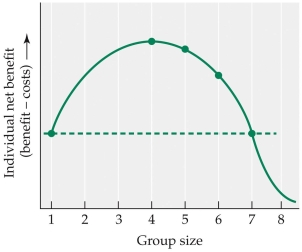 <strong>Refer to the figure. Based on the figure, which of the following statements is false?</strong> A) If there is a group of two individuals, a lone individual would benefit from joining the group, but the original members of the group would be harmed. B) If there is a group of two individuals, a lone individual would benefit from joining the group and the original members of the group would benefit as well. C) If there is a group of five individuals, a lone individual would benefit from joining the group, but the original members of the group would be harmed. D) If there is a group of seven individuals, a lone individual joining the group would harm both the new group member and the original group members.