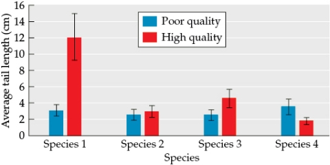 Refer to the figure. Figure 2 You are studying four bird species to determine the differences between poor-quality and high-quality males. - You collect the data shown in Figure 2. Suppose some females are not very skilled at detecting small differences in tail length. When they perceive a difference in tail length, these females always choose the males with the longer tails. Assuming that high-quality males do have longer-than-average tails, in which species would females be most likely to correctly assess male quality by tail length? Why? In which group might you expect these females to make the most assessment mistakes? Why?